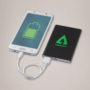 Custom Power Bank