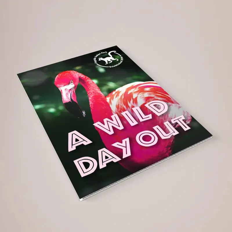 Correx Poster Boards: printed correx board 3